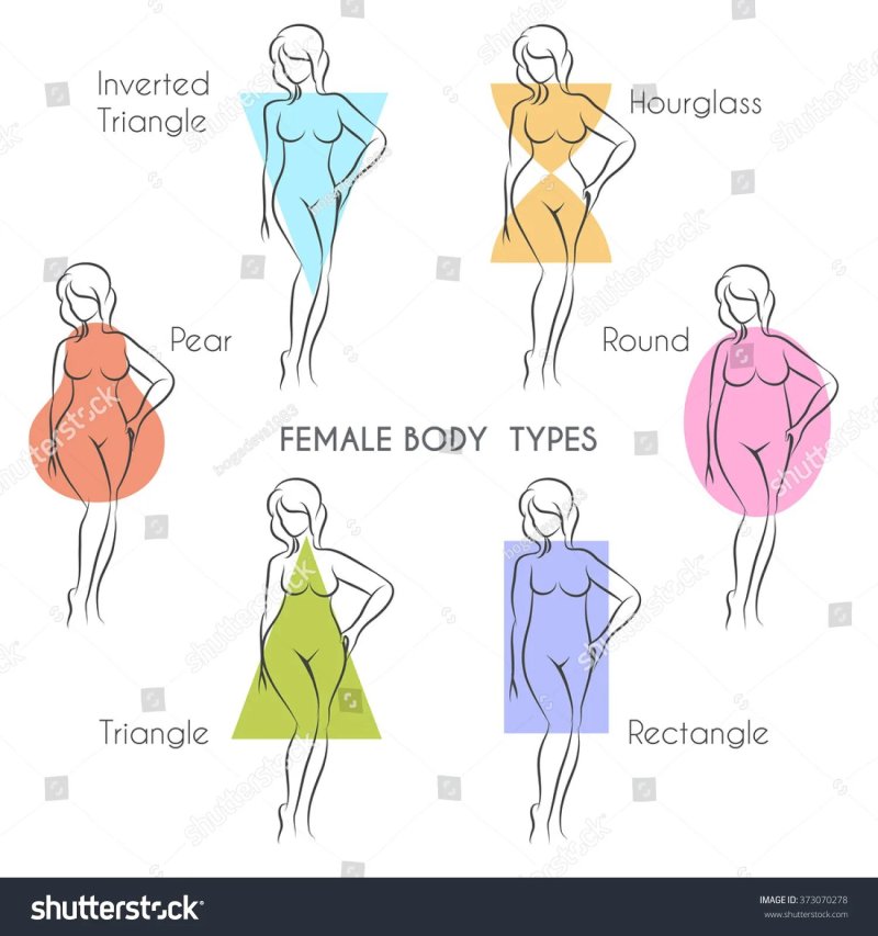 Female body types