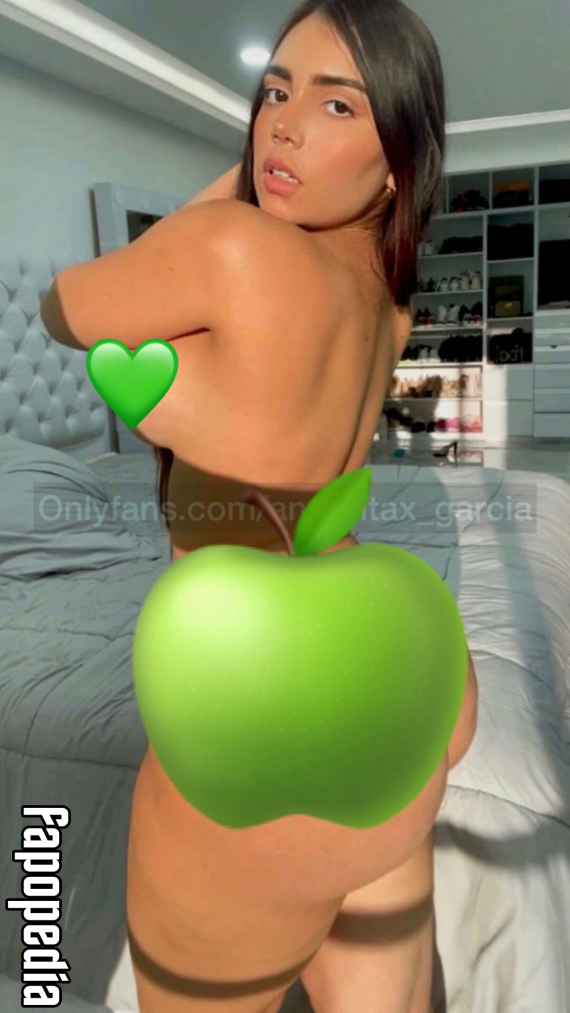 Andreitax garcia