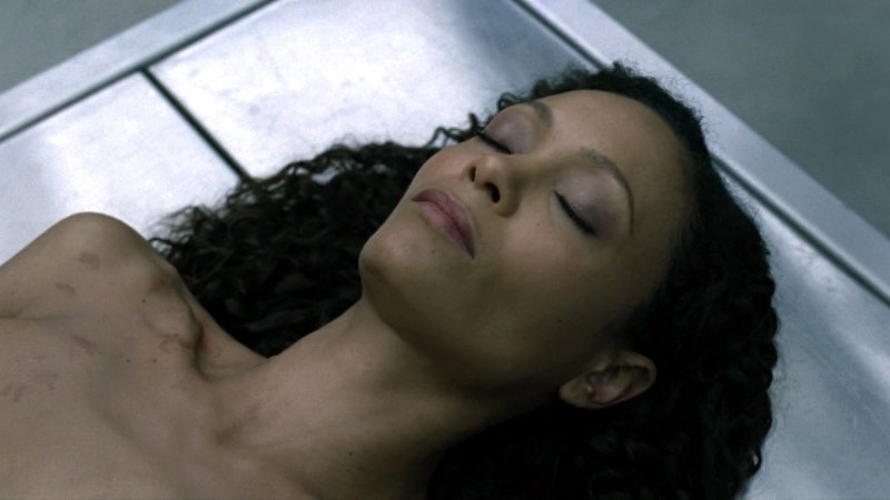 Тэнди ньютон westworld