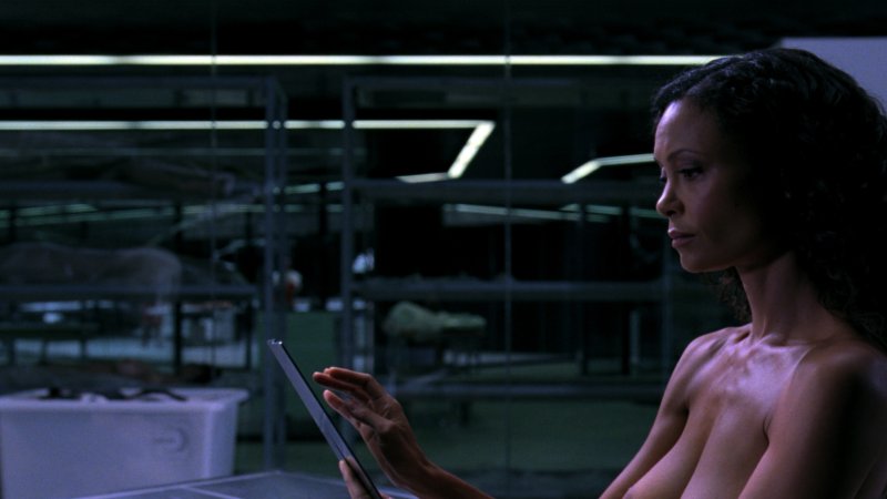 Тэнди ньютон westworld