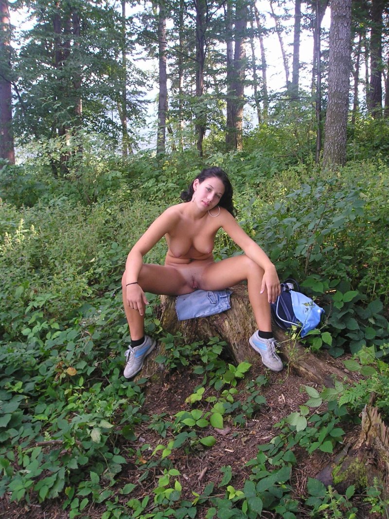 Дерево в лесу