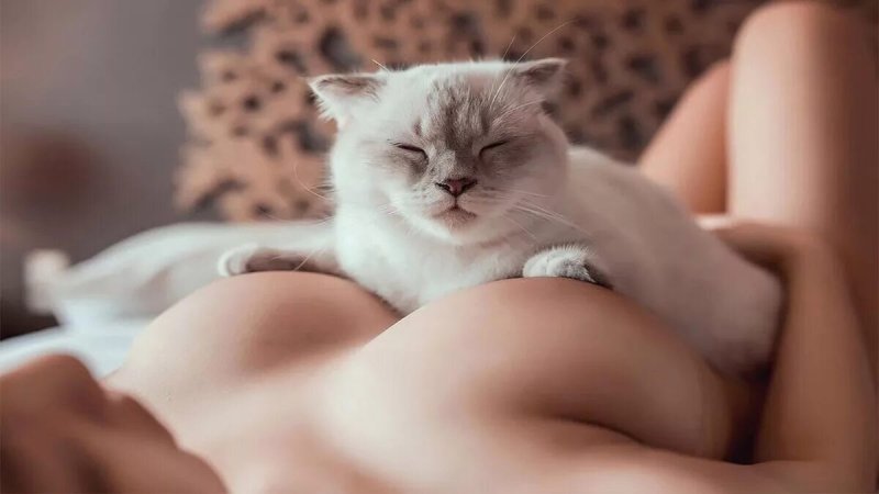 Голая девушка с котом