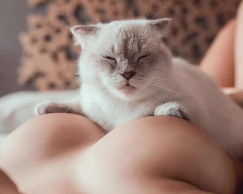 Красивая киска девушек