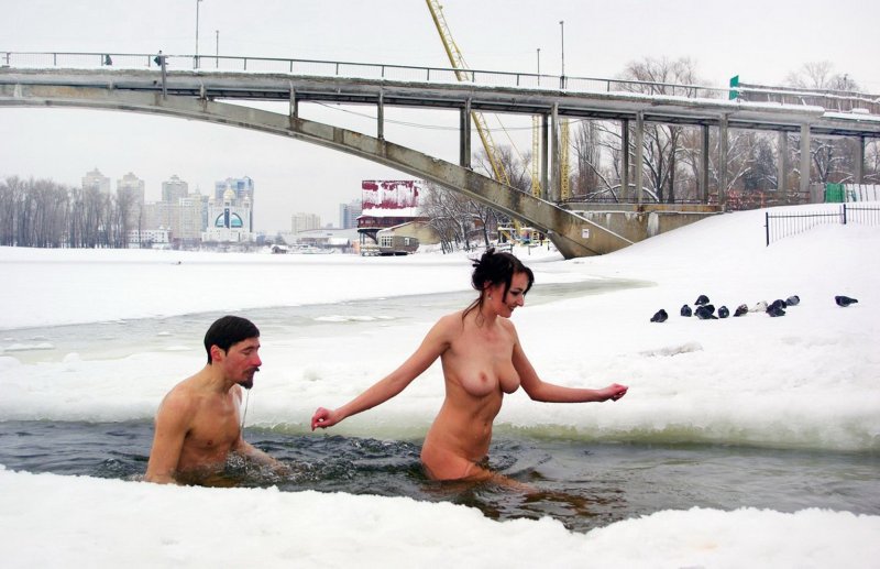 Моржи купаются голышом