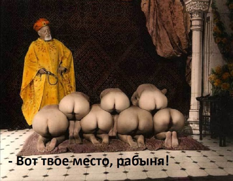Эротика гарем