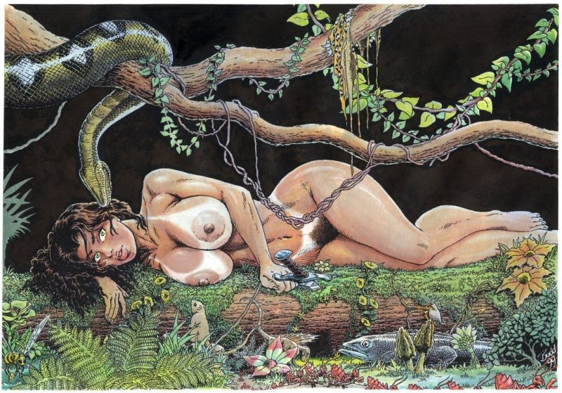 Эротический комикс cavewoman
