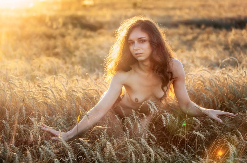 Фотосессия в пшеничном поле