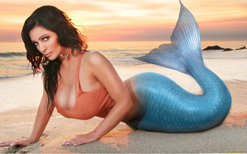 Denise milani