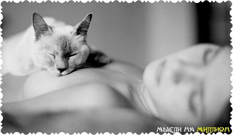 Голая с кошкой