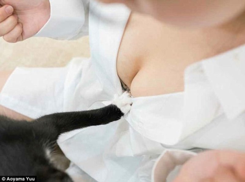 Котик на груди