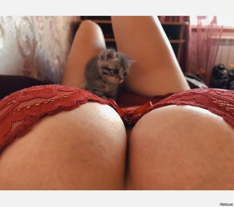 Груди девушек