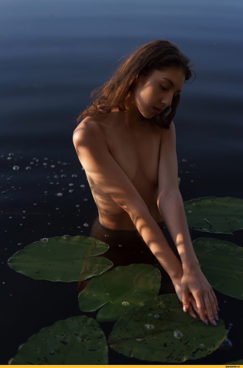 Елизавета лисова