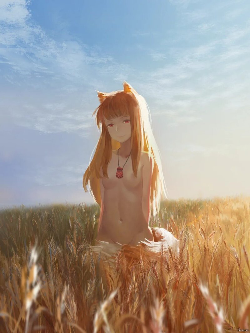 Холо мудрая