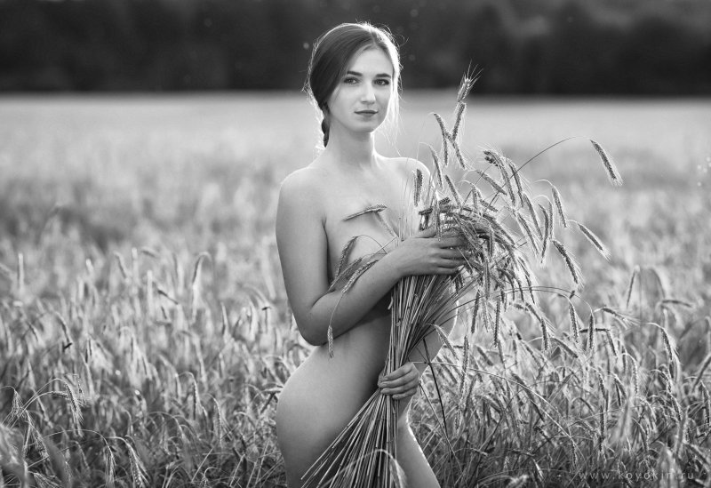 Фотограф коекин константин