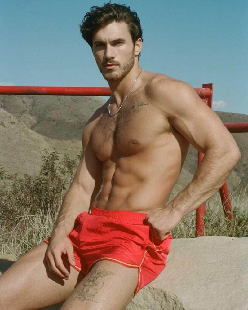 Michael yerger модель