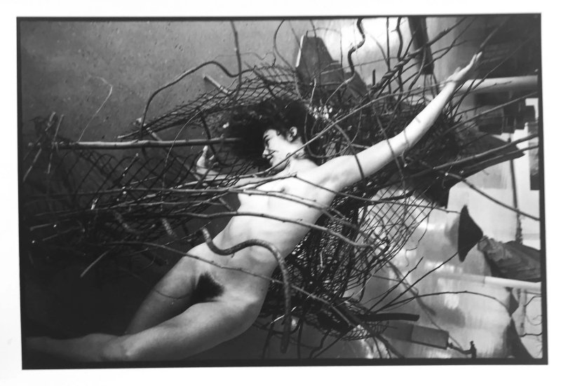 Николай рождественский фотограф nude