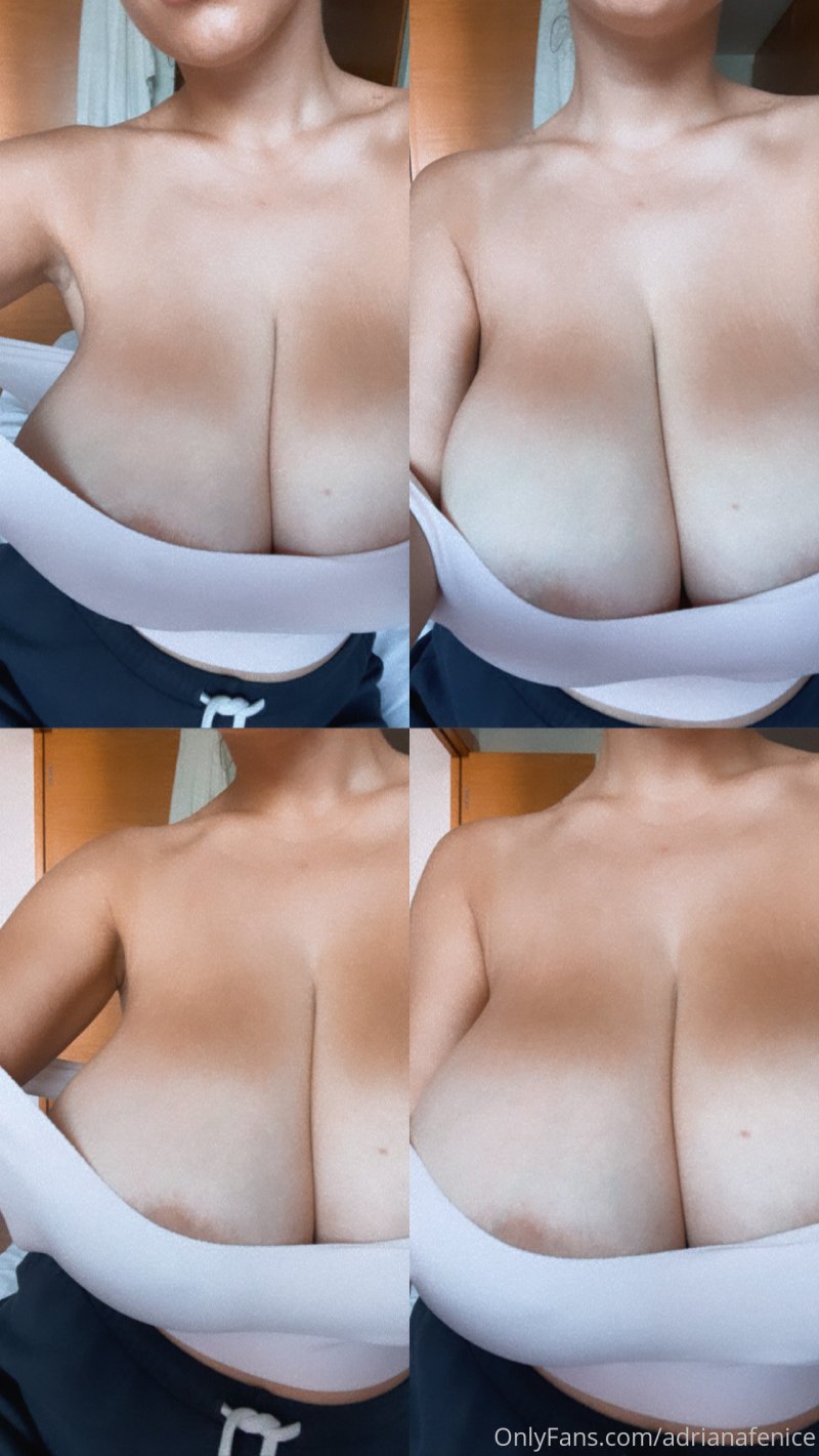 Adriana fenice