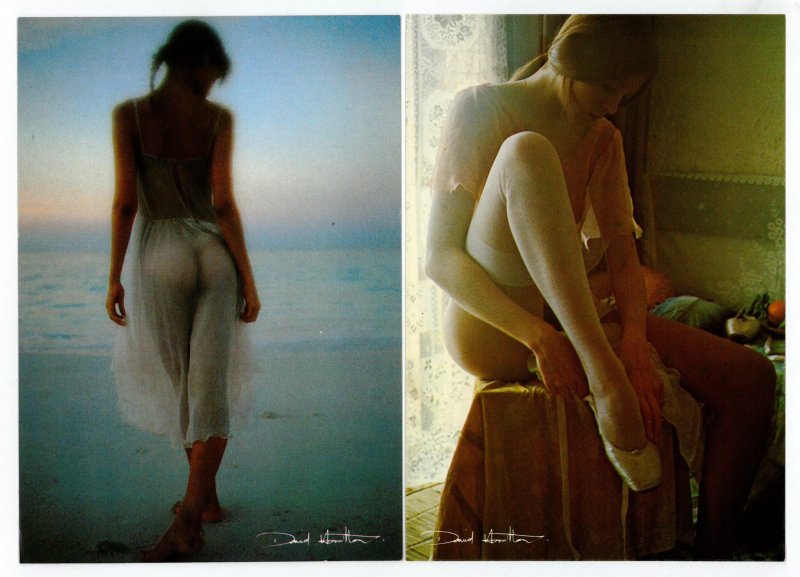 Дэвид гамильтон david hamilton