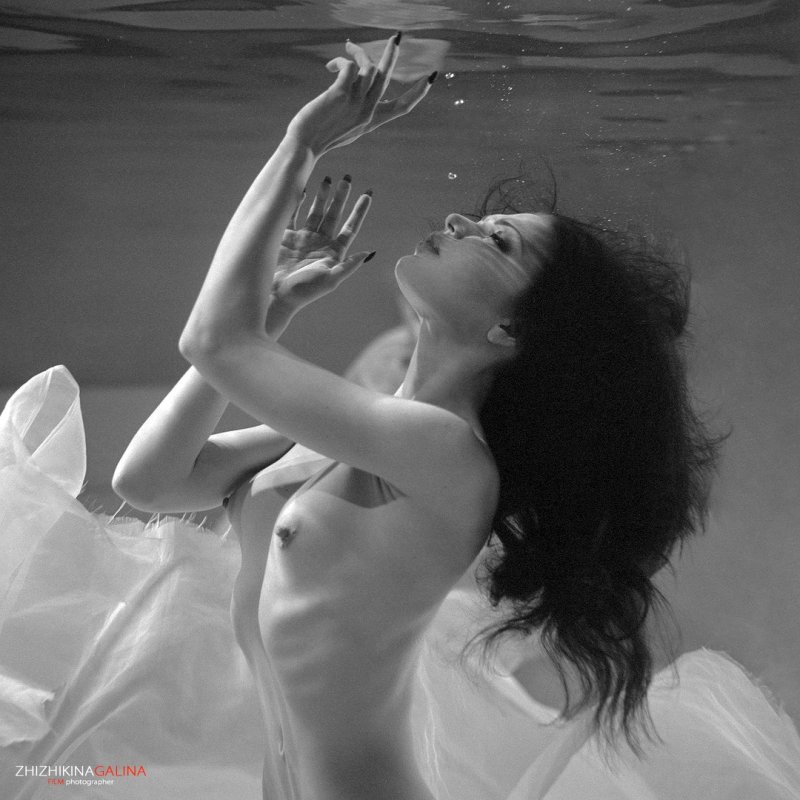 Галина жижикина фотограф