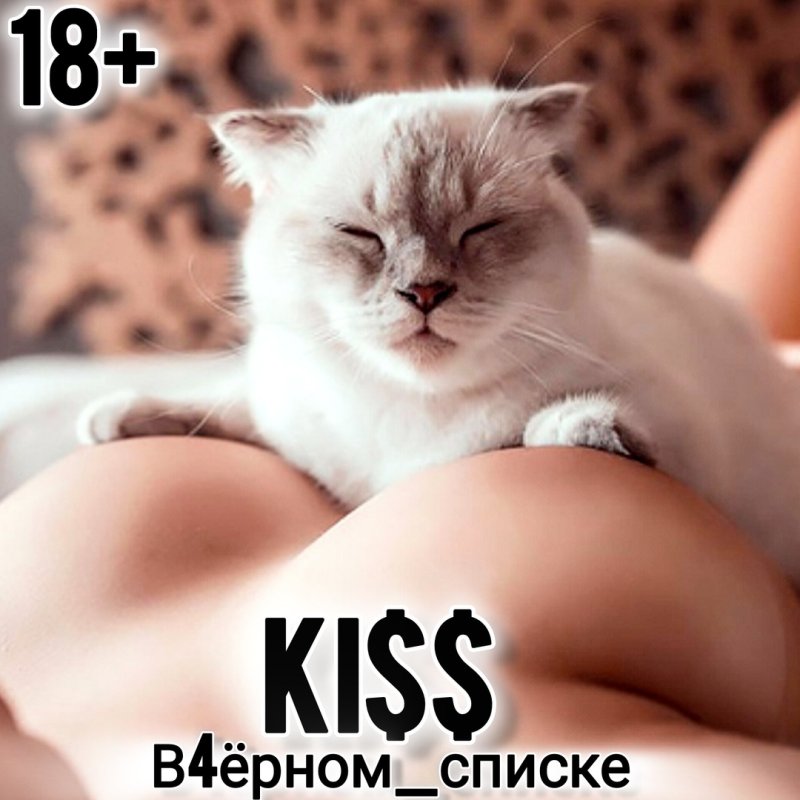 Красивые киски девушек